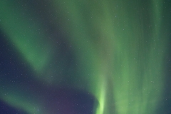 Iceland Aurora by Neal Weston