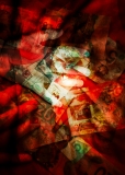 Portfolio - Greed by Wendy Craib