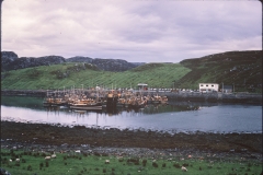 BCB_090