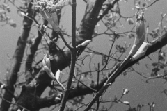 Print_02