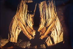 WB_050
