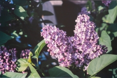 WB_074