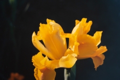WB_075