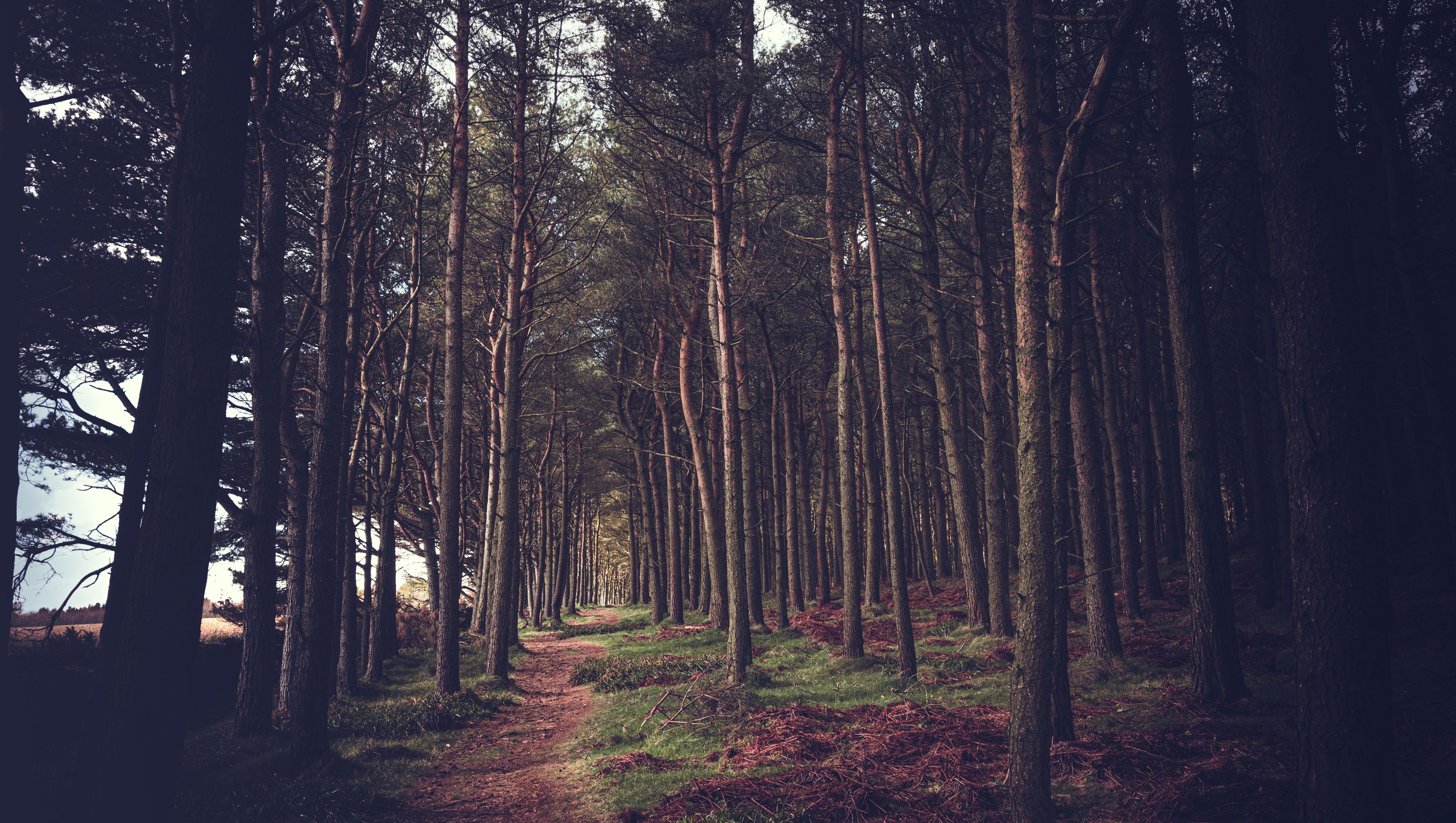 Cheyne Circular by Blair Cunningham