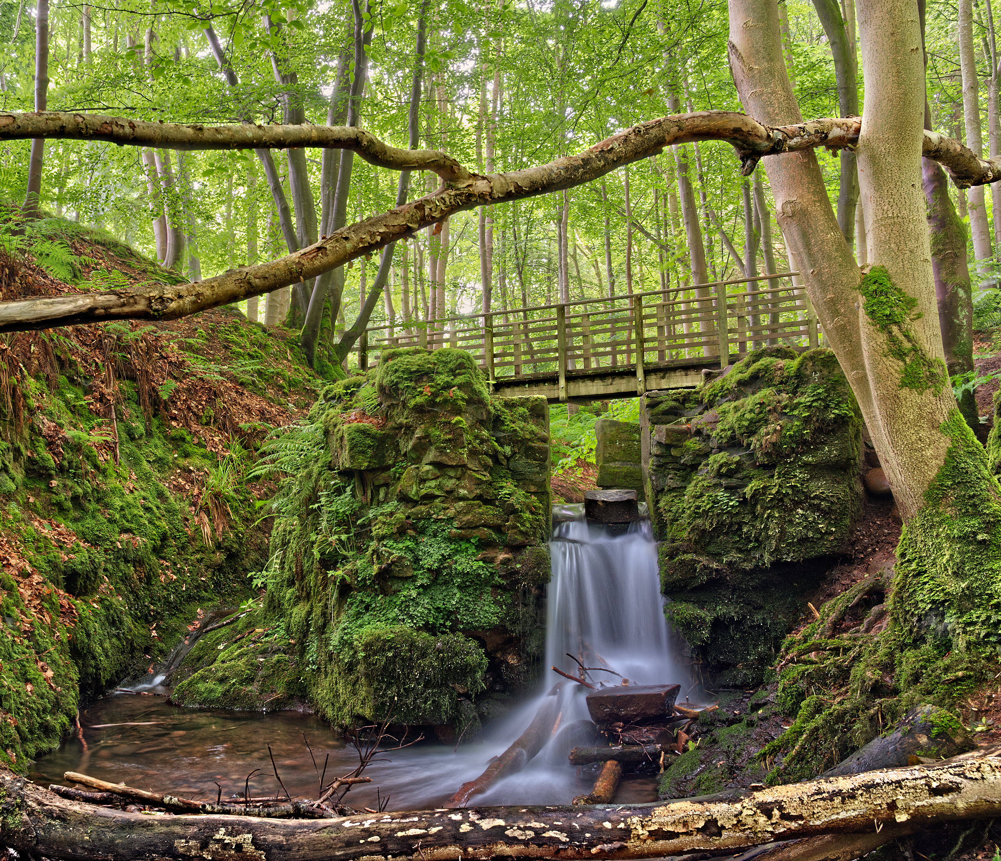 Lady Kennedy's Bath by Marc Gordon