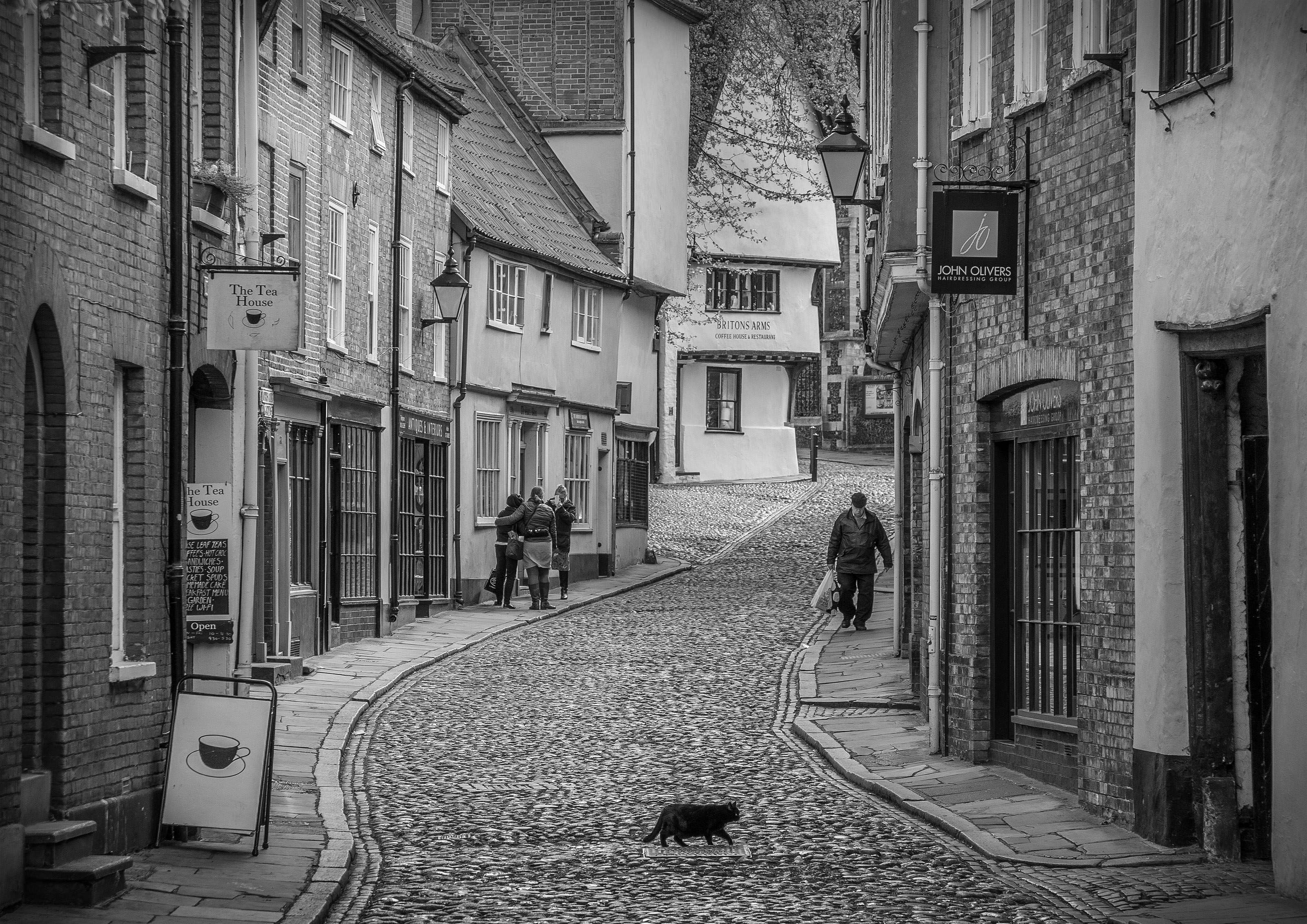 Elm Hill by Mark Woodfin
