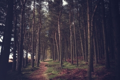 Cheyne Circular by Blair Cunningham