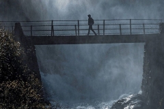 Braving the Bridge by Russell Adams