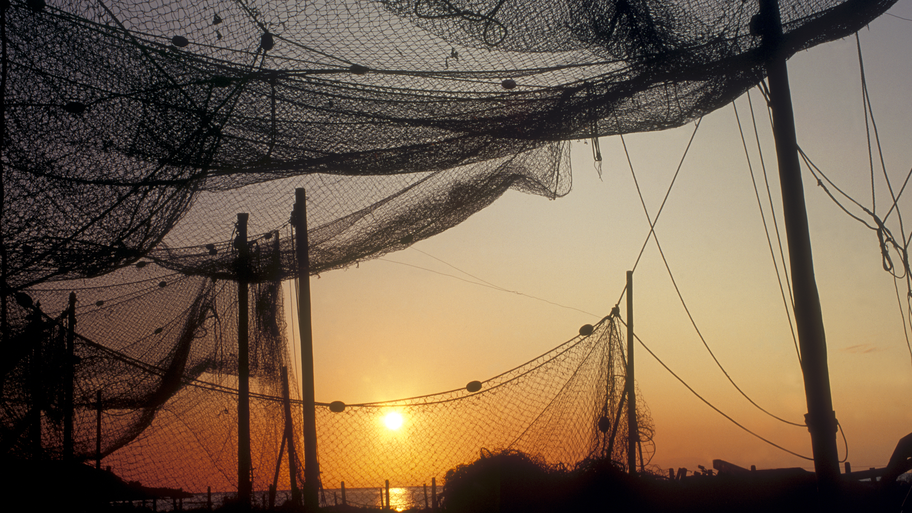 1992 Andy Hall. Drying Nets at Cowie.