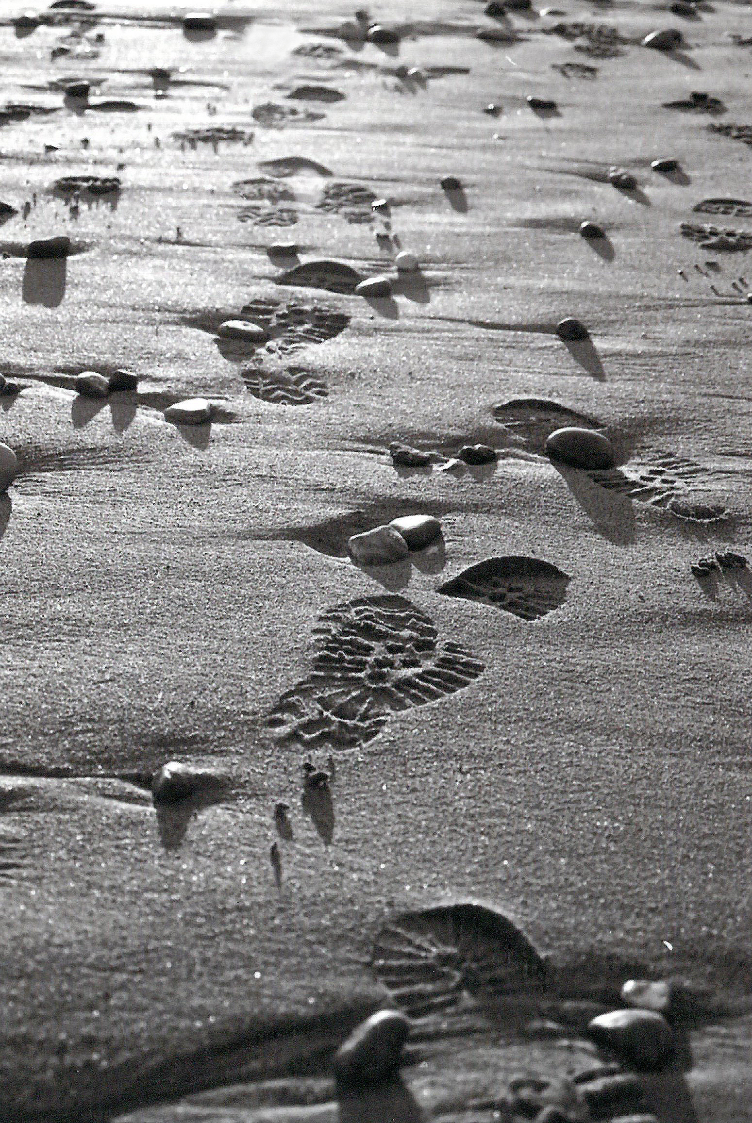 2001 Naomi Cooper, Footprints