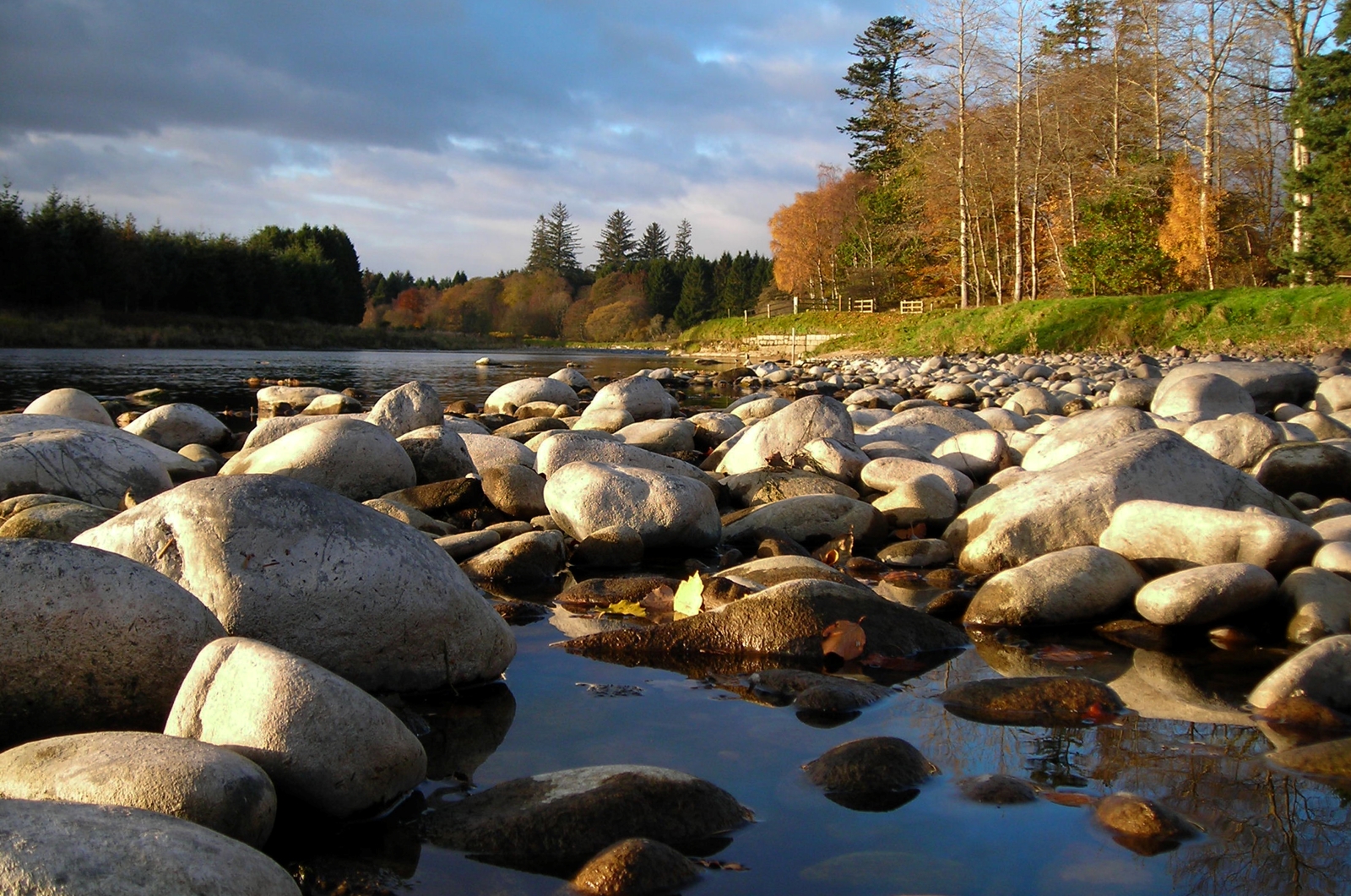 2007 Kirst Johns, Glorious River Dee