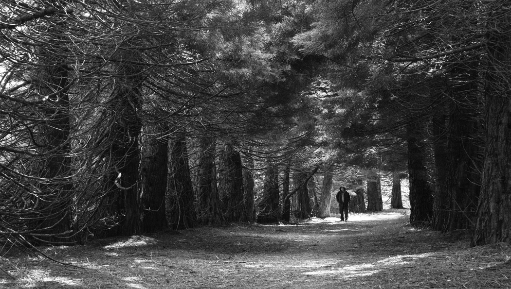 2010 Ping Lin, Through the light