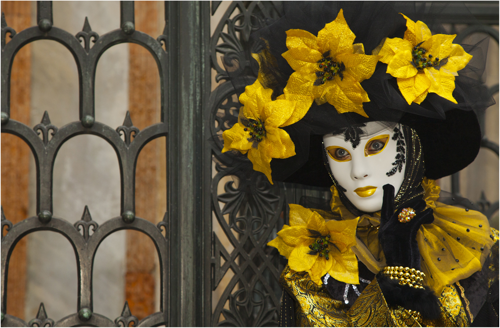 2012 Allan Gawthorpe, Vision in gold