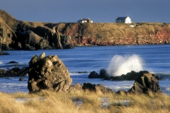 1990 Andy Hall, St Cyrus Morning