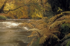 1994 Andy Hall, Autumn at the Inkbottle