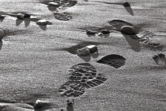 2001 Naomi Cooper, Footprints