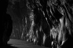 2009 Alan Bellerby, Cave phantoms