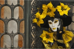 2012 Allan Gawthorpe, Vision in gold